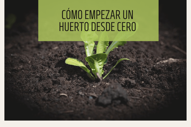 Cómo empezar a plantar un huerto desde cero