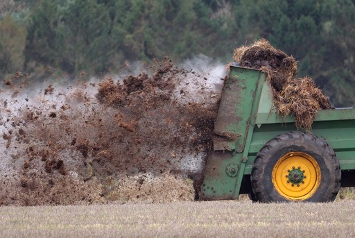 Formas de abonar la tierra como abonar la tierra para huerta