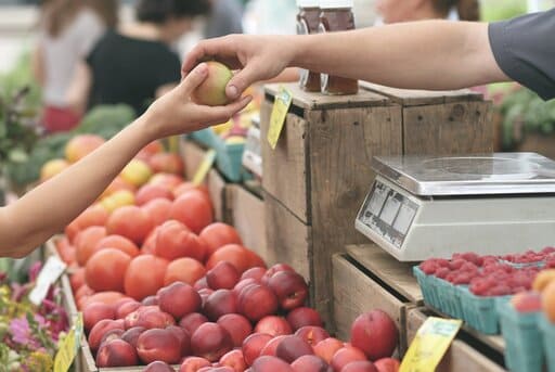 La importancia de tener un huerto importancia de un huerto ecologico