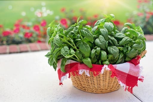 Flores comestibles que son las flores comestibles