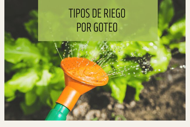 ¿Qué tipos de sistemas de riego por goteo existen?