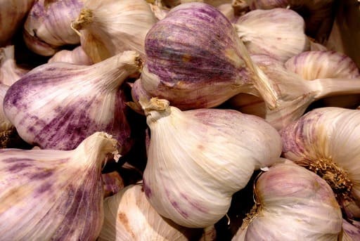 Ajos hortalizas de otoño
