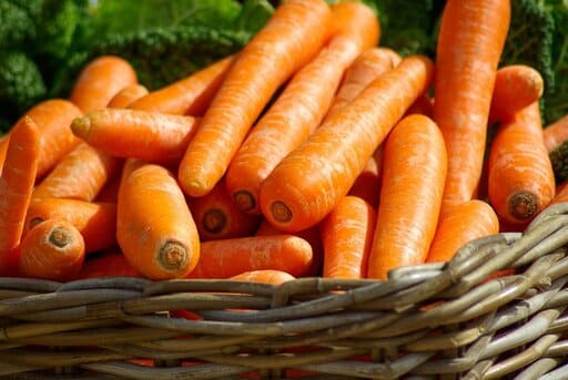 Zanahorias verduras de otoño