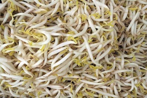 Brotes comestibles brotes germinados