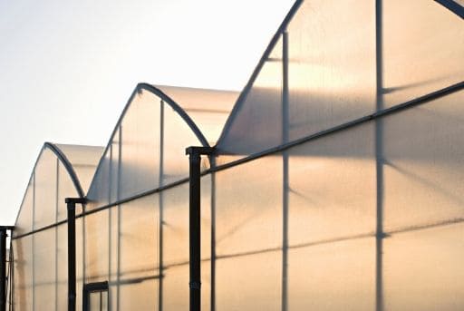 proteger plantas de heladas