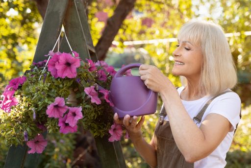 Cuidados básicos y entorno de las petunias