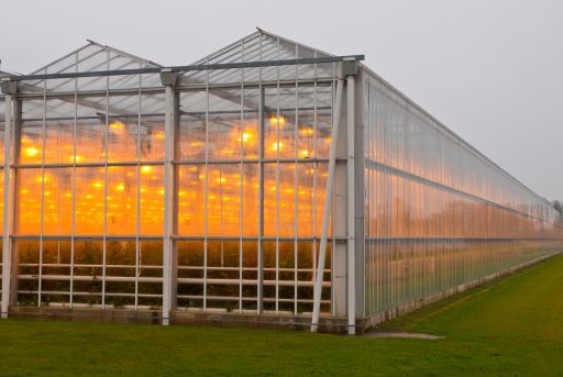 Tipos de invernaderos de cristal