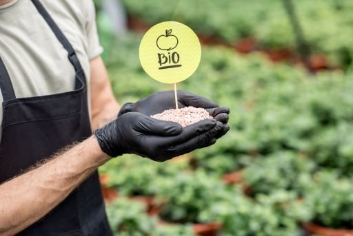 Tierra diatomeas para plagas en el jardín