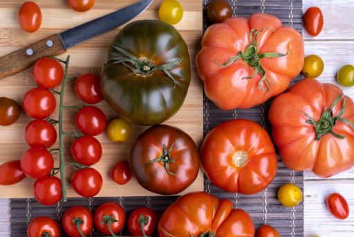 Tomate raf junto con otras variedades de tomate